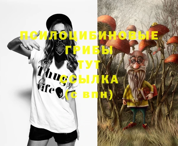 2c-b Алексеевка