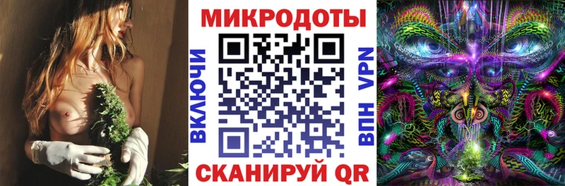 купить наркотик  Анапа  Галлюциногенные грибы MAGIC MUSHROOMS 